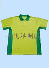 T06